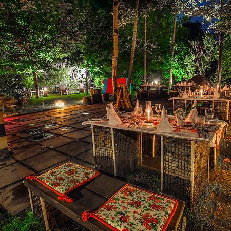 Solang Valley Resort Palchān Dış mekan fotoğraf