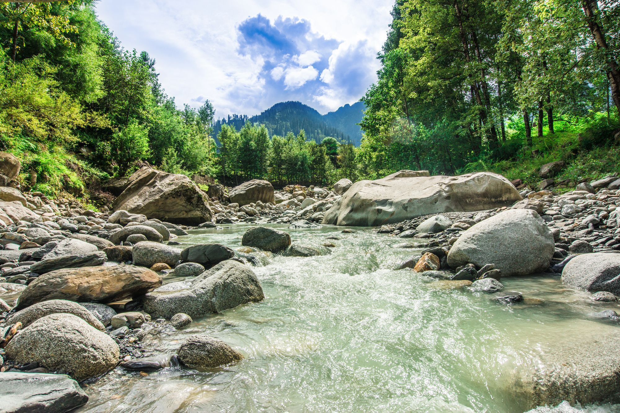 Solang Valley Resort Palchān Dış mekan fotoğraf