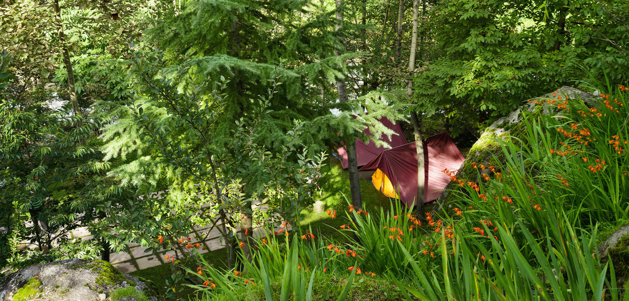 Solang Valley Resort Palchān Dış mekan fotoğraf