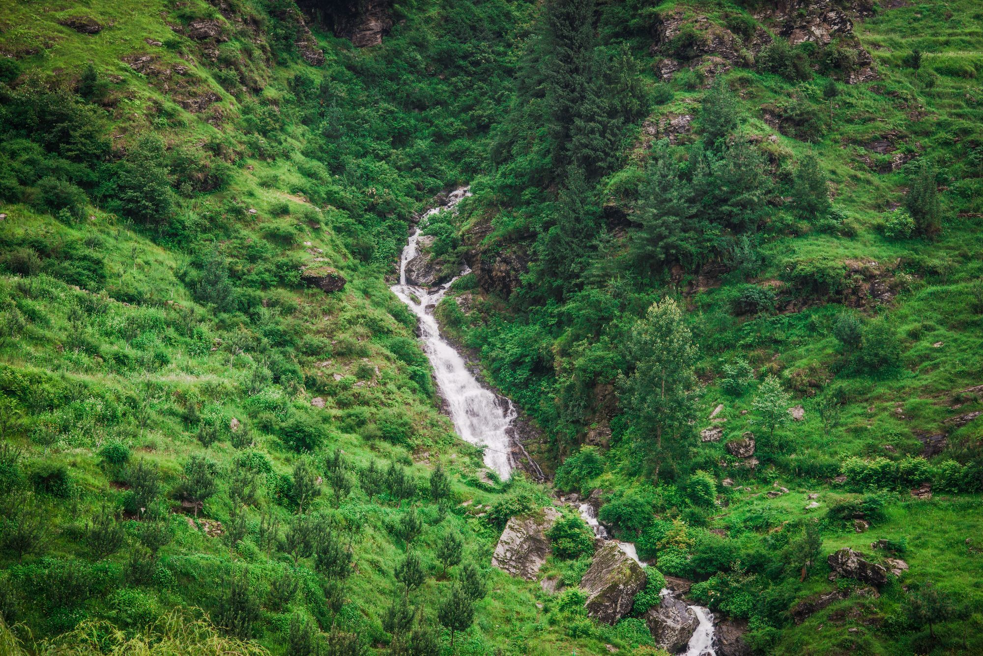 Solang Valley Resort Palchān Dış mekan fotoğraf