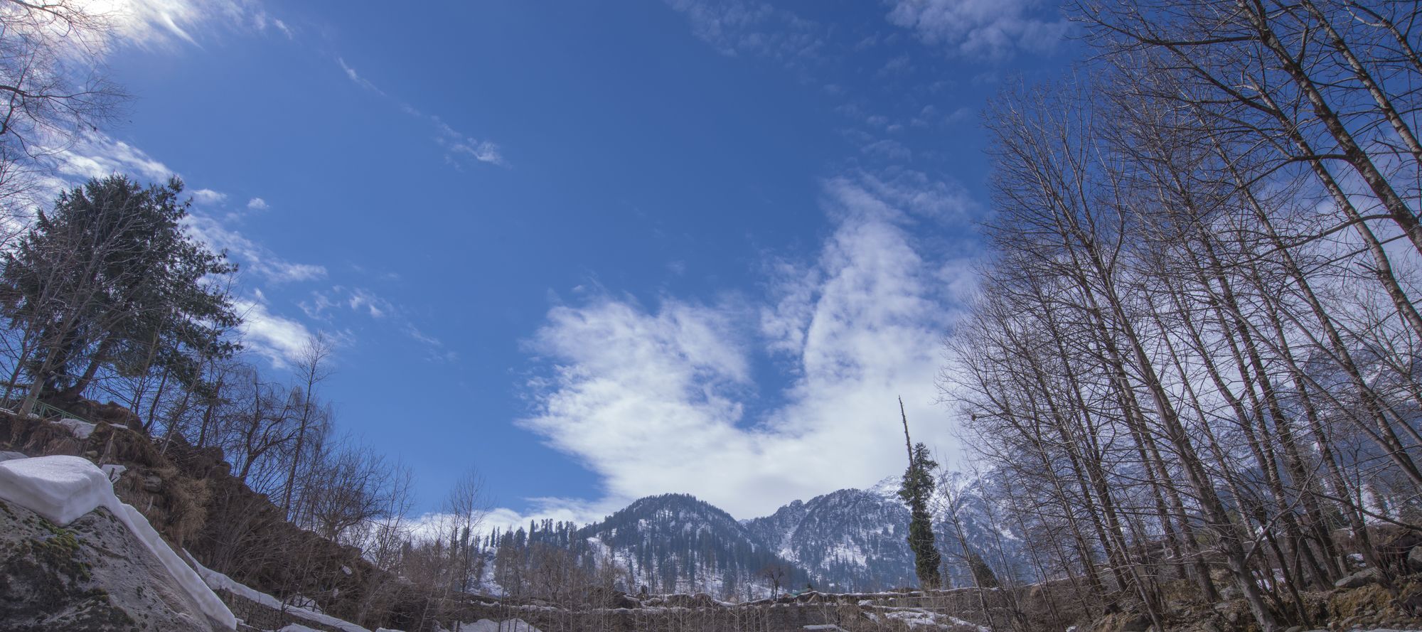 Solang Valley Resort Palchān Dış mekan fotoğraf
