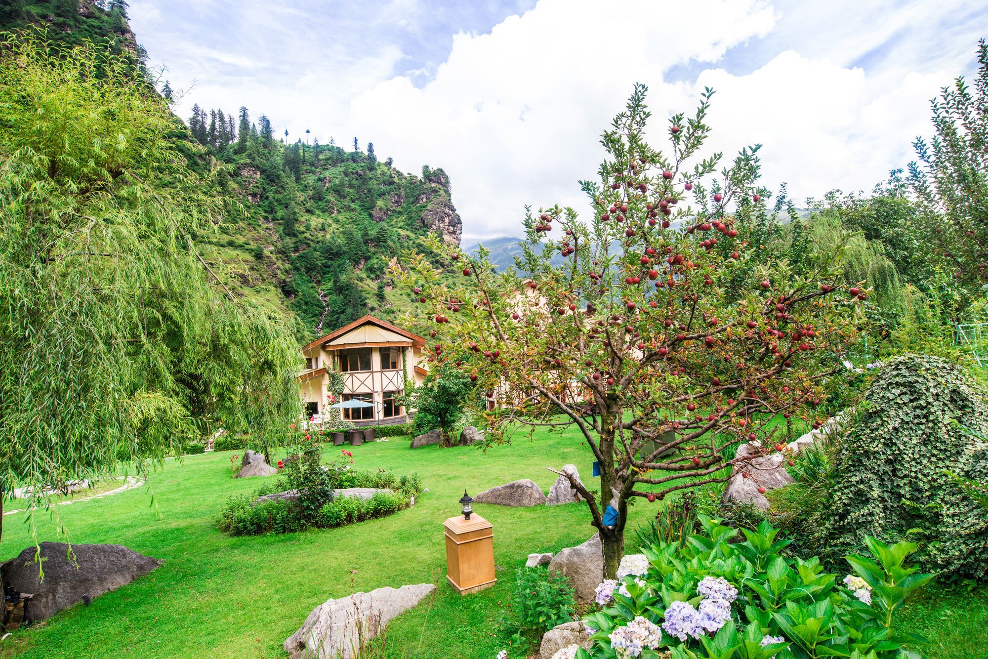 Solang Valley Resort Palchān Dış mekan fotoğraf