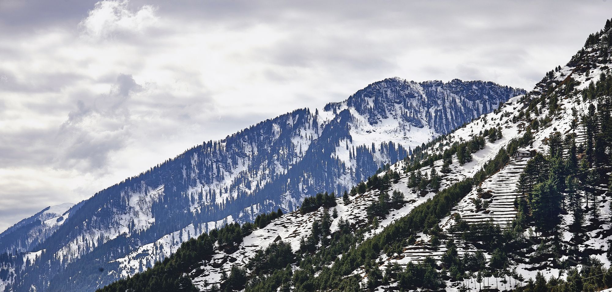 Solang Valley Resort Palchān Dış mekan fotoğraf