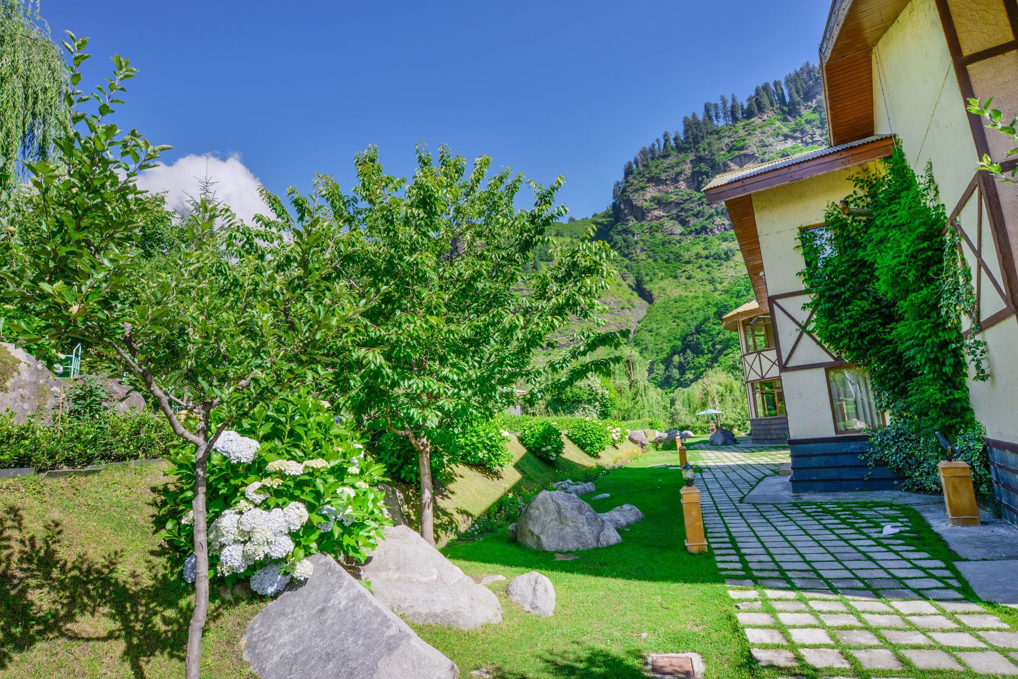 Solang Valley Resort Palchān Dış mekan fotoğraf