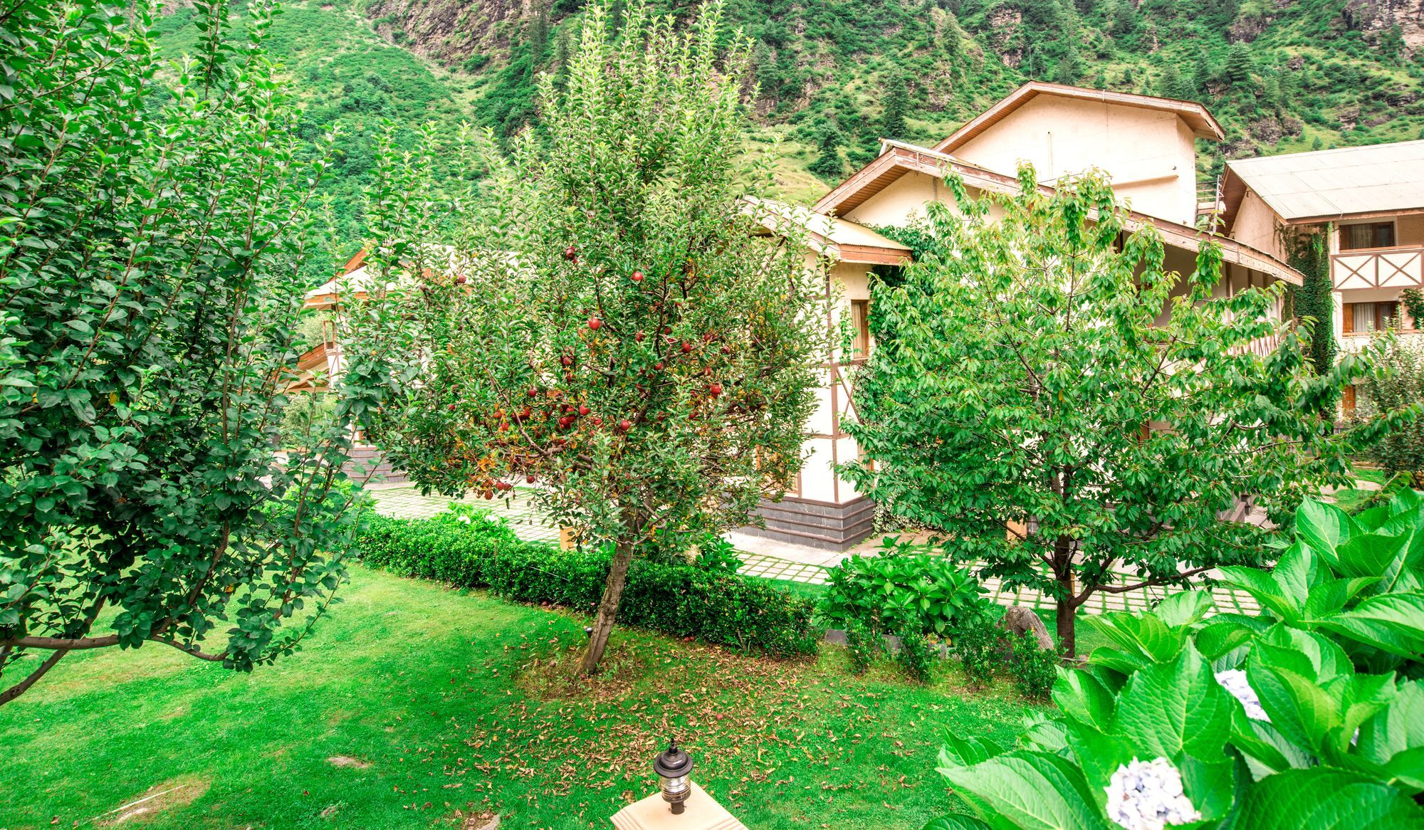 Solang Valley Resort Palchān Dış mekan fotoğraf