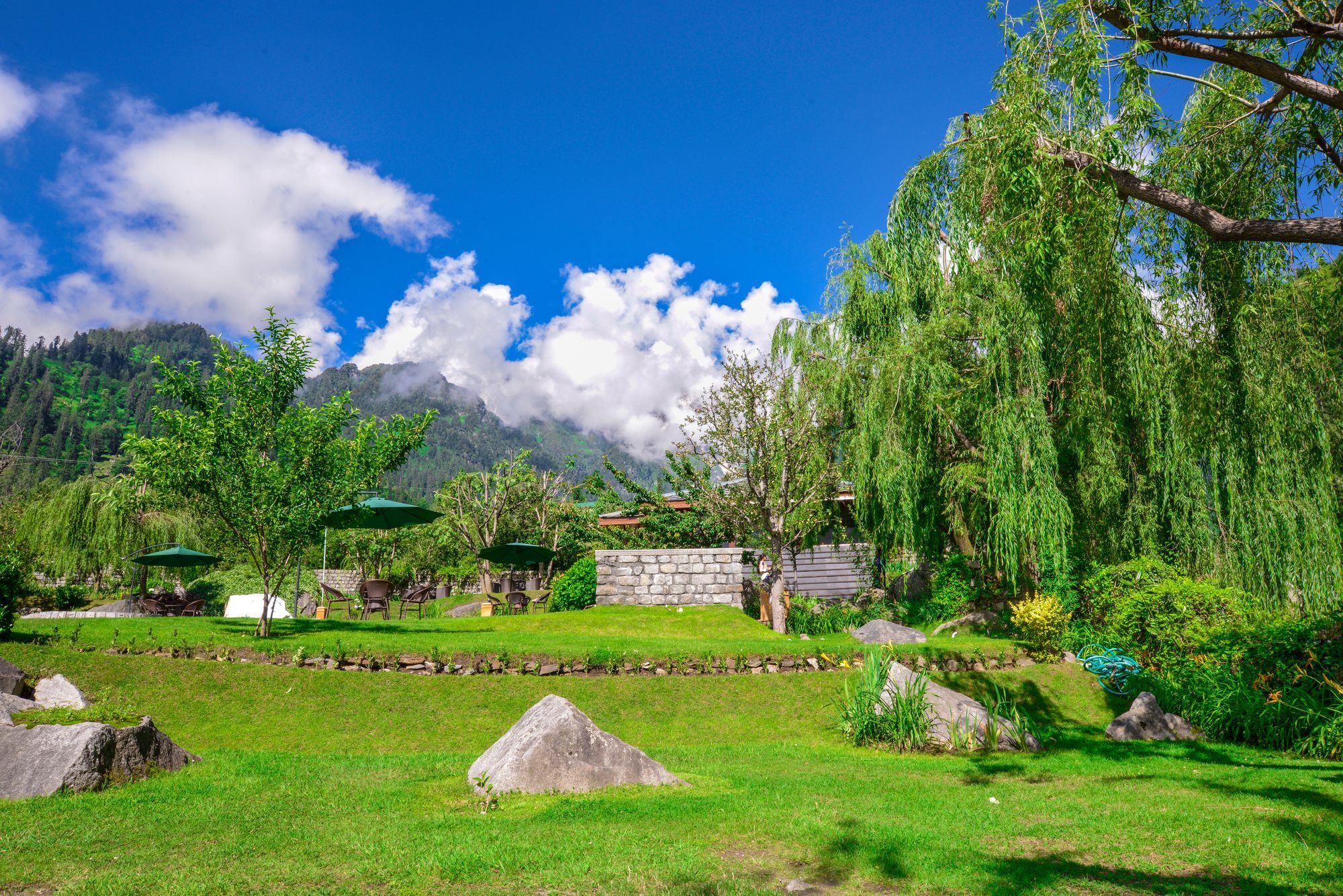 Solang Valley Resort Palchān Dış mekan fotoğraf